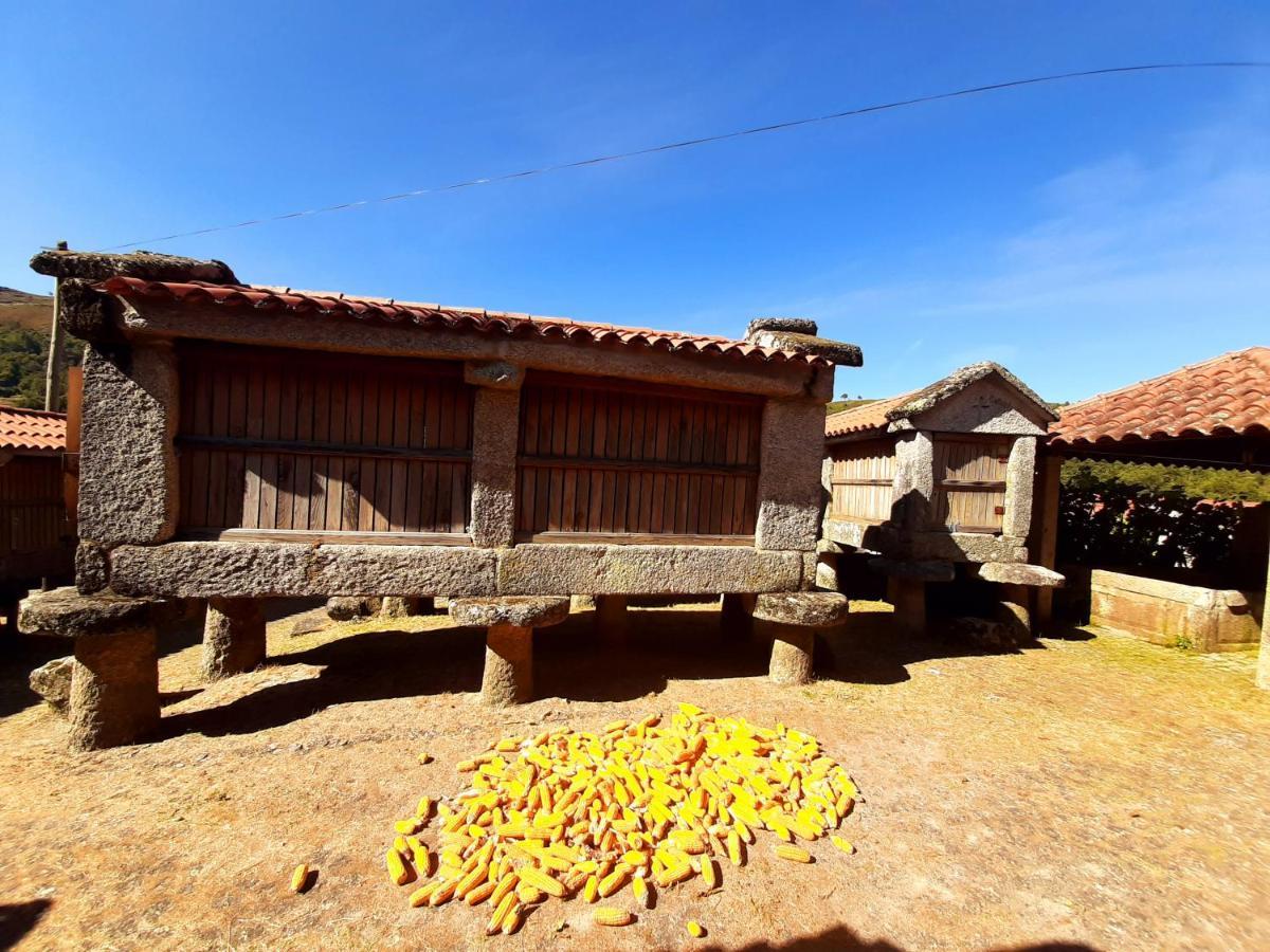 הוילה סיסטלו Casa Da Fichua מראה חיצוני תמונה