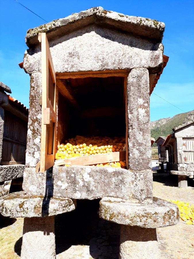 הוילה סיסטלו Casa Da Fichua מראה חיצוני תמונה