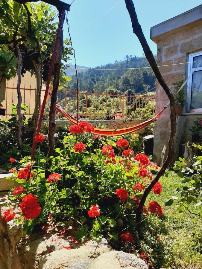 הוילה סיסטלו Casa Da Fichua מראה חיצוני תמונה